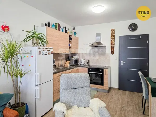 Obývací pokoj; dřevěná podlaha, přirozené světlo, moderní styl