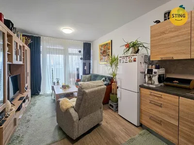 Kuchyně; kuchyňské spotřebiče, dřevěná podlaha, přirozené světlo, moderní styl