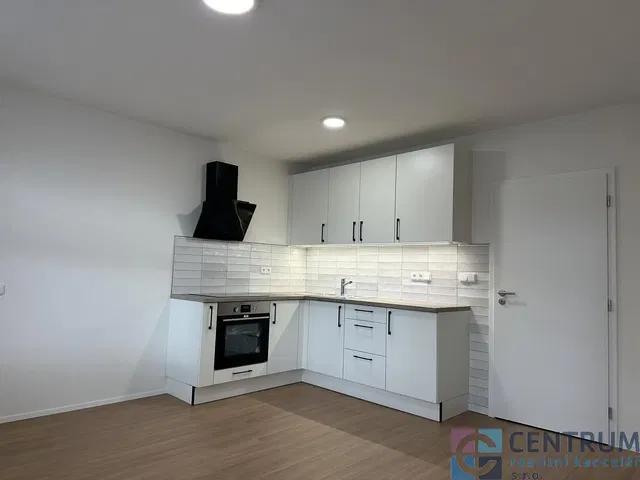 Хол; дървен под, естествена светлина, модерен стил