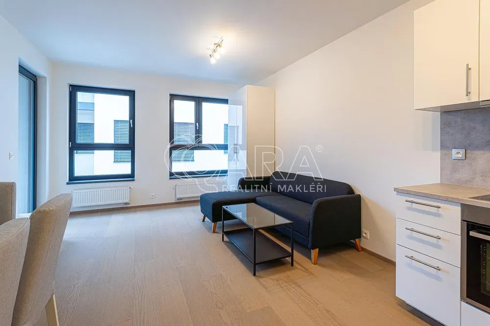 Living room; wood floor, natural light, modern style