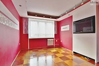 Living room; wood floor, natural light, modern style