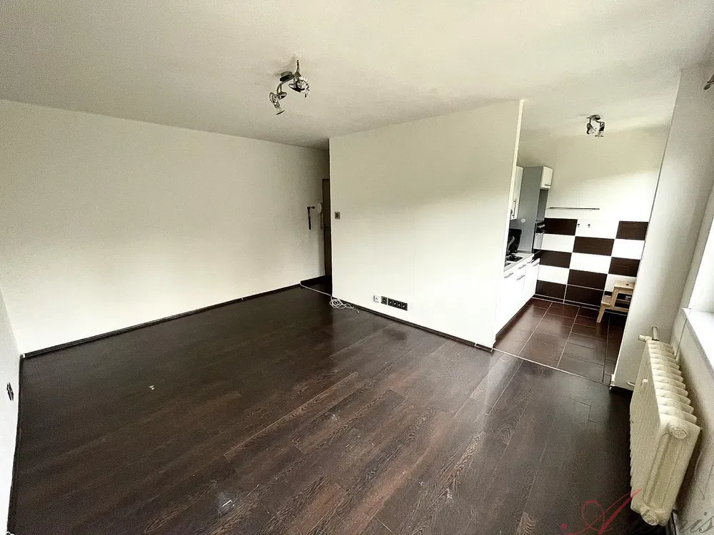 Living room; wood floor, natural light, modern style