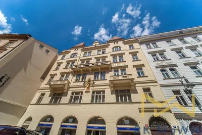 Living room; wood floor, natural light, modern style