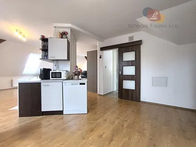 Kitchen; kitchen appliances, wood floor, natural light, modern style