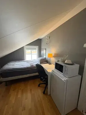 Кухиња; кухињски апарати, дрвени под, природно светло, модерни стил