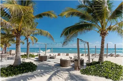Living room; wood floor, natural light, modern style