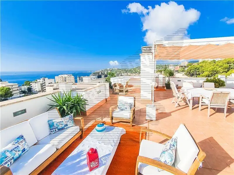 Cuisine; électroménager, parquet, lumière naturelle, style moderne