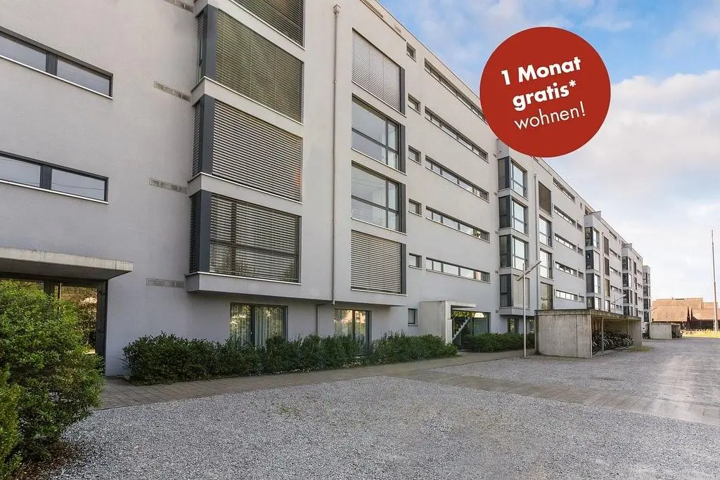 Kitchen; kitchen appliances, wood floor, natural light, modern style