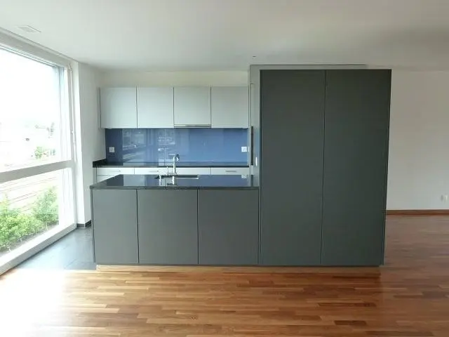 Kitchen; kitchen appliances, wood floor, natural light, modern style