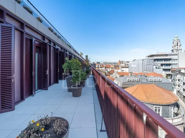 Kuchyně; kuchyňské spotřebiče, dřevěná podlaha, přirozené světlo, moderní styl