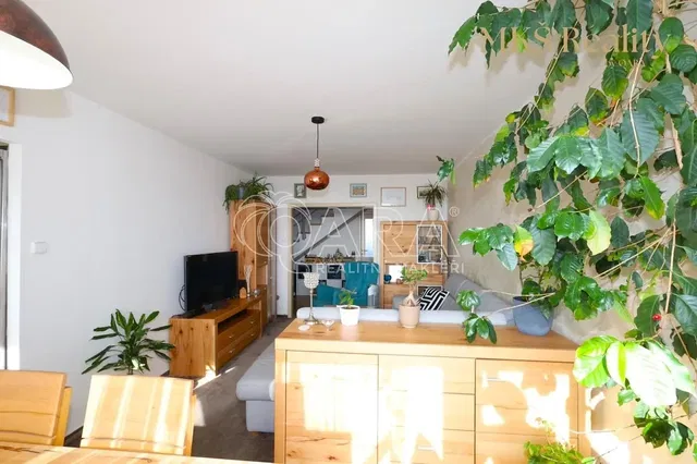 Kitchen; kitchen appliances, wood floor, natural light, modern style