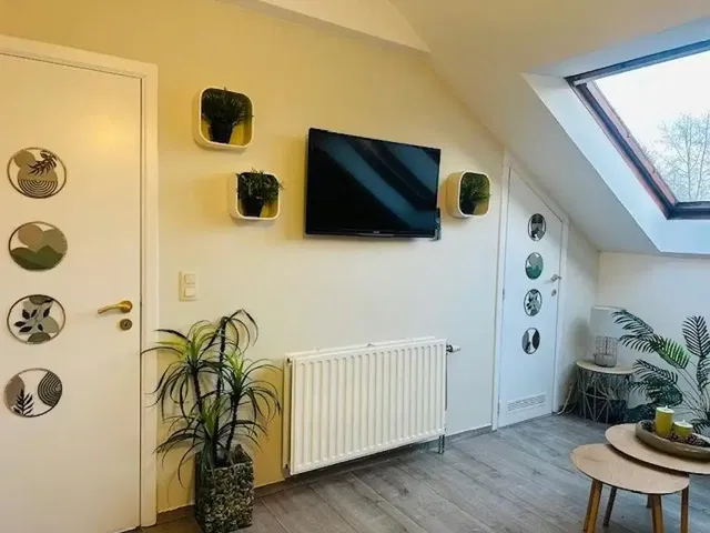 Cucina; elettrodomestici, pavimento in legno, luce naturale, stile moderno