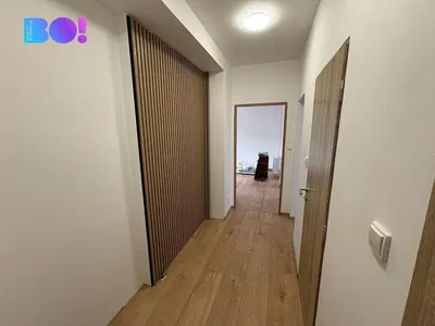 Living room; wood floor, natural light, modern style