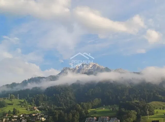 Kitchen; kitchen appliances, wood floor, natural light, modern style