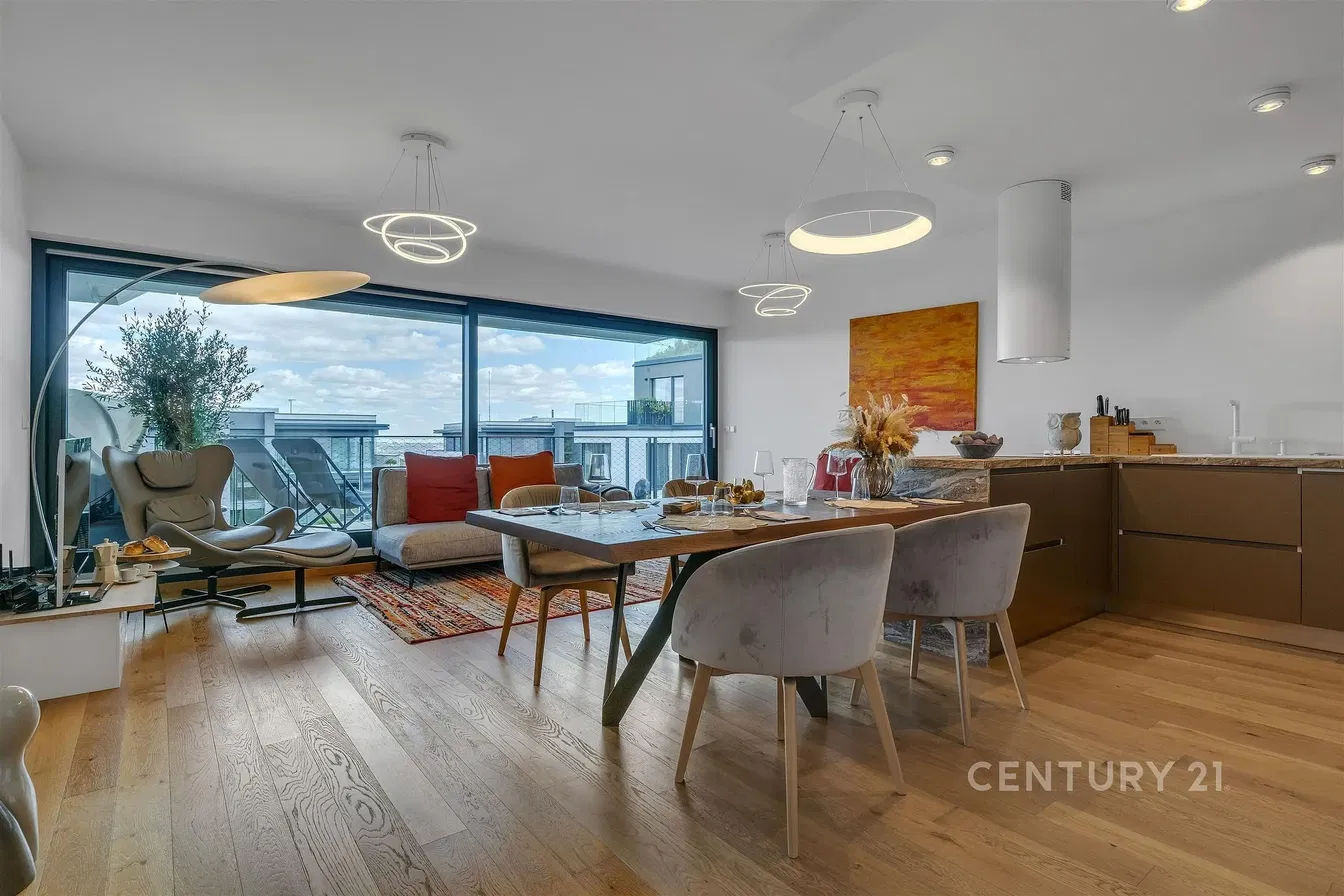 Kitchen; kitchen appliances, wood floor, natural light, modern style