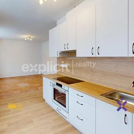 Kitchen; kitchen appliances, wood floor, natural light, modern style
