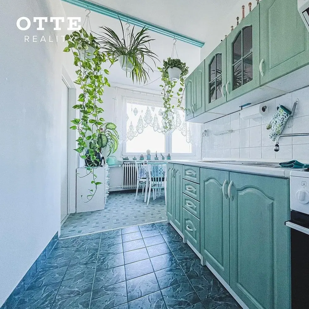 Кухиња; кухињски апарати, дрвени под, природно светло, модерни стил