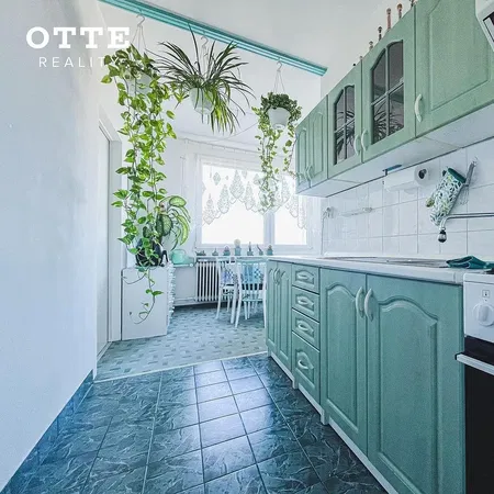 Кухиња; кухињски апарати, дрвени под, природно светло, модерни стил