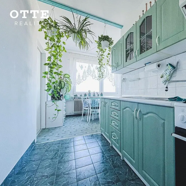 Кухиња; кухињски апарати, дрвени под, природно светло, модерни стил