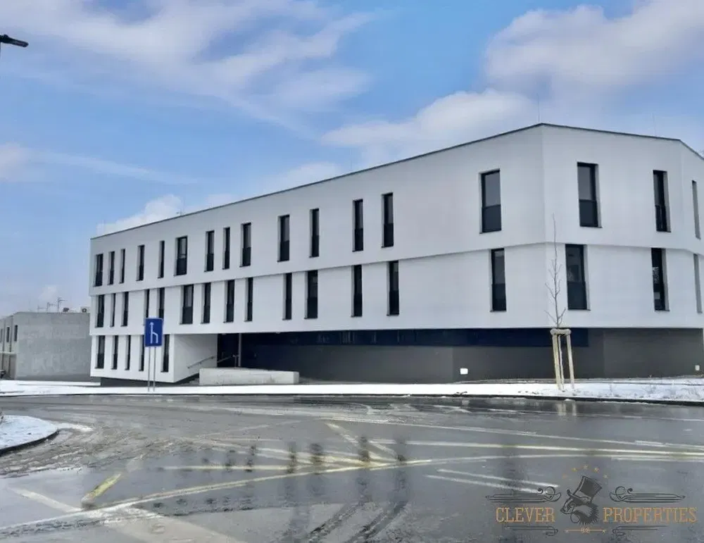 Хол; дървен под, естествена светлина, модерен стил