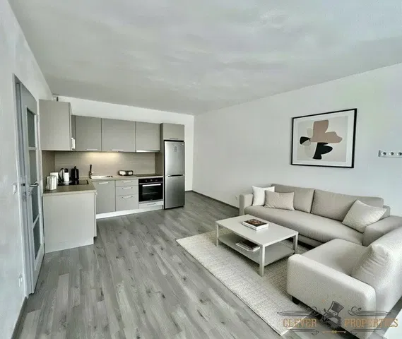 Кухня; кухненски уреди, дървен под, естествена светлина, модерен стил