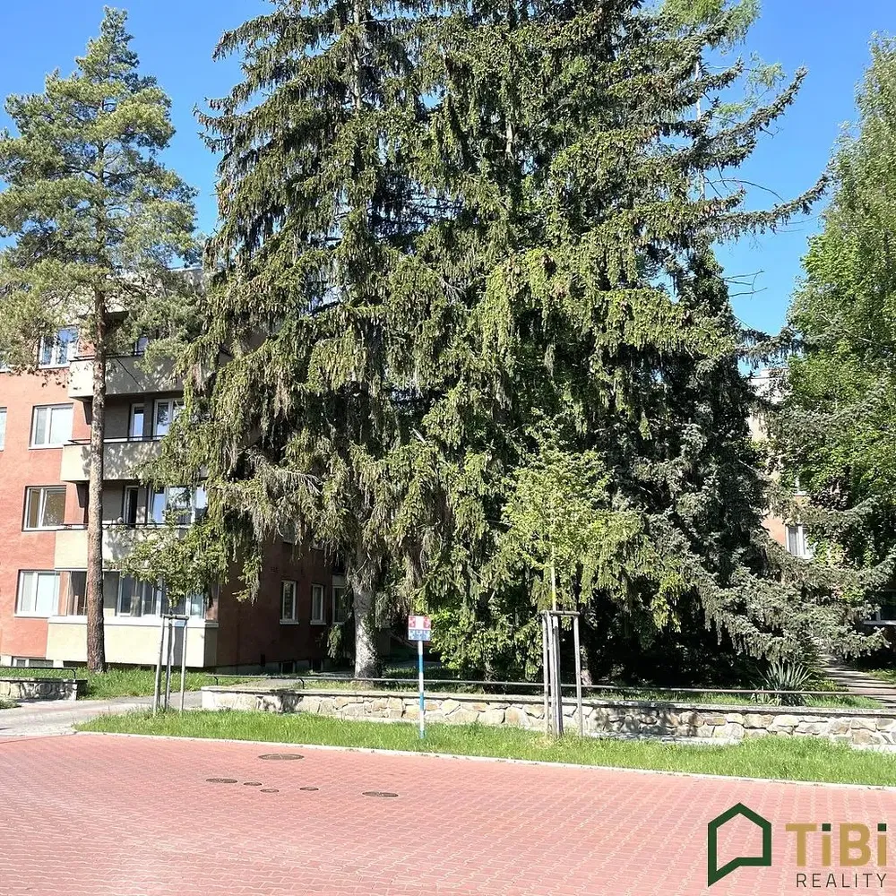 Кухня; кухненски уреди, плочки, естествена светлина, модерен стил