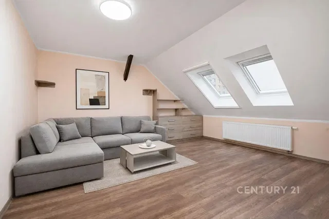 Kitchen; kitchen appliances, wood floor, natural light, modern style