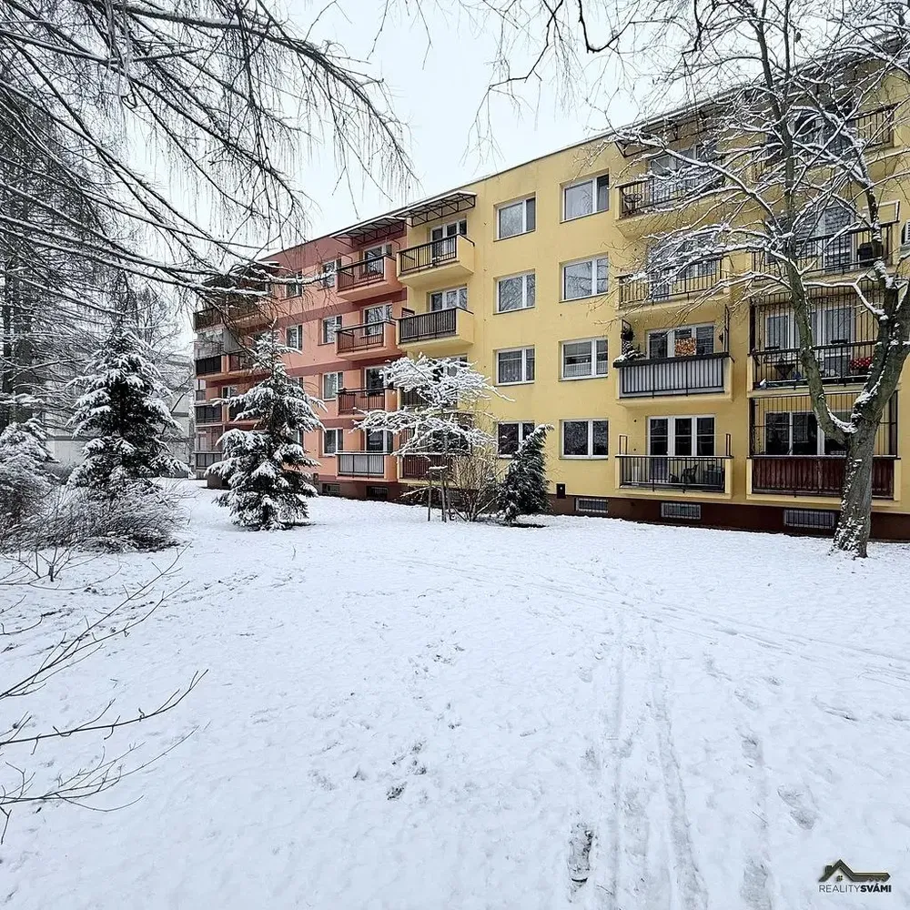 Кухня; кухненски уреди, дървен под, естествена светлина, модерен стил