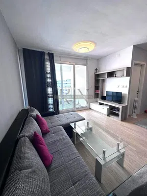 Kitchen; kitchen appliances, wood floor, natural light, modern style