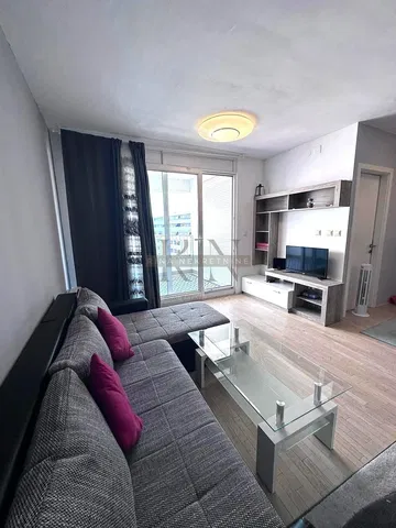 Kitchen; kitchen appliances, wood floor, natural light, modern style