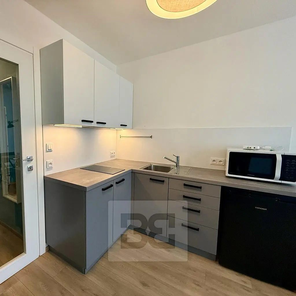 Kitchen; kitchen appliances, wood floor, natural light, modern style