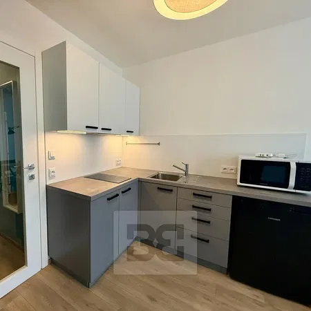 Κουζίνα; συσκευές κουζίνας, ξύλινο πάτωμα, φυσικό φως, μοντέρνο στυλ