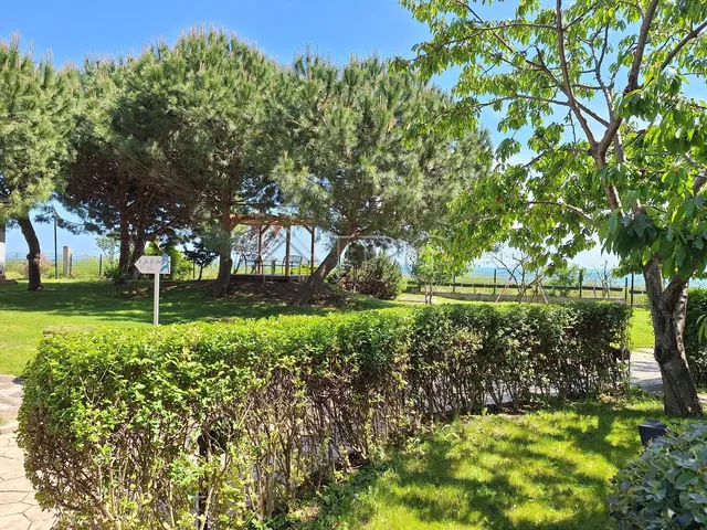 Kuchyňa; kuchynské spotrebiče, drevená podlaha, prirodzené svetlo, moderný štýl