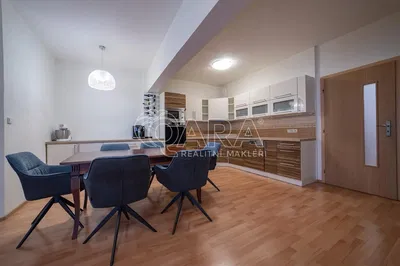 Кухня; кухненски уреди, плочки, естествена светлина, модерен стил