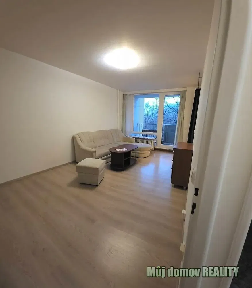 Living room; wood floor, natural light, modern style