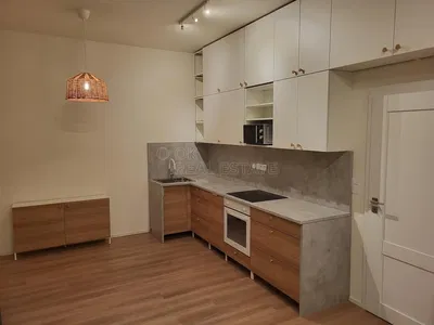 Kitchen; kitchen appliances, wood floor, natural light, modern style