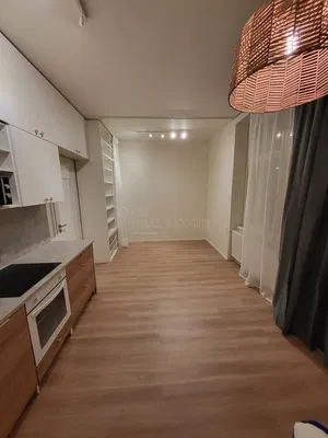 Kitchen; kitchen appliances, wood floor, natural light, modern style
