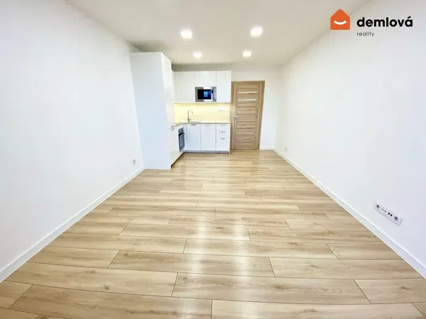 Хол; естествена светлина, дървен под, модерен стил