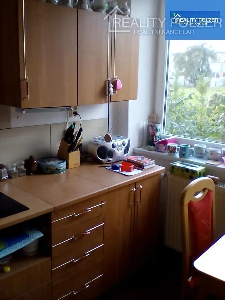 Living room; wood floor, natural light, modern style