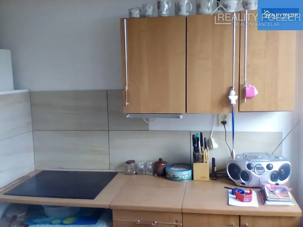 Kitchen; kitchen appliances, wood floor, natural light, modern style