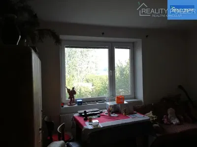 Kitchen; kitchen appliances, wood floor, natural light, modern style