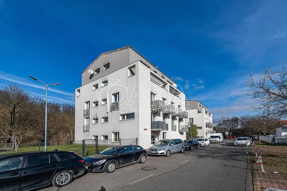 Хол; дървен под, естествена светлина, модерен стил