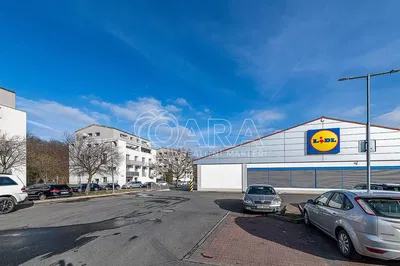 Хол; дървен под, естествена светлина, модерен стил