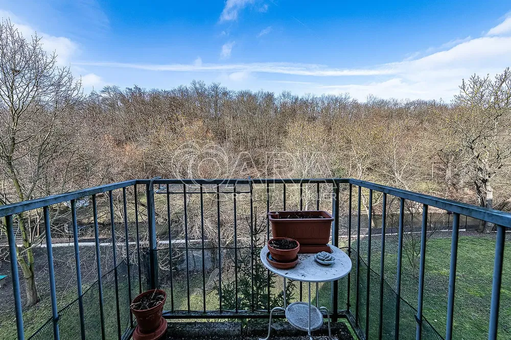 Хол; дървен под, естествена светлина, модерен стил