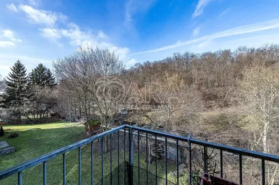 Хол; дървен под, естествена светлина, модерен стил