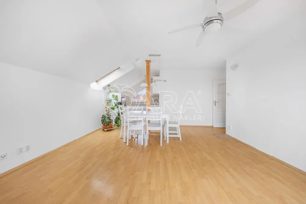 Kitchen; kitchen appliances, wood floor, natural light, modern style