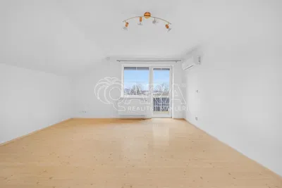 Living room; wood floor, natural light, modern style