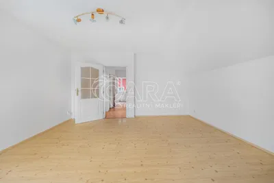 Kitchen; kitchen appliances, wood floor, natural light, modern style