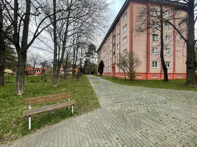 Woonkamer; houten vloer, natuurlijk licht, moderne stijl