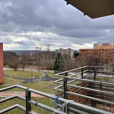 Кухня; кухненски уреди, дървен под, естествена светлина, модерен стил